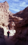 Sinai